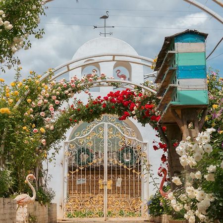 Baisha Flamingo Hotel Lijiang  Zewnętrze zdjęcie