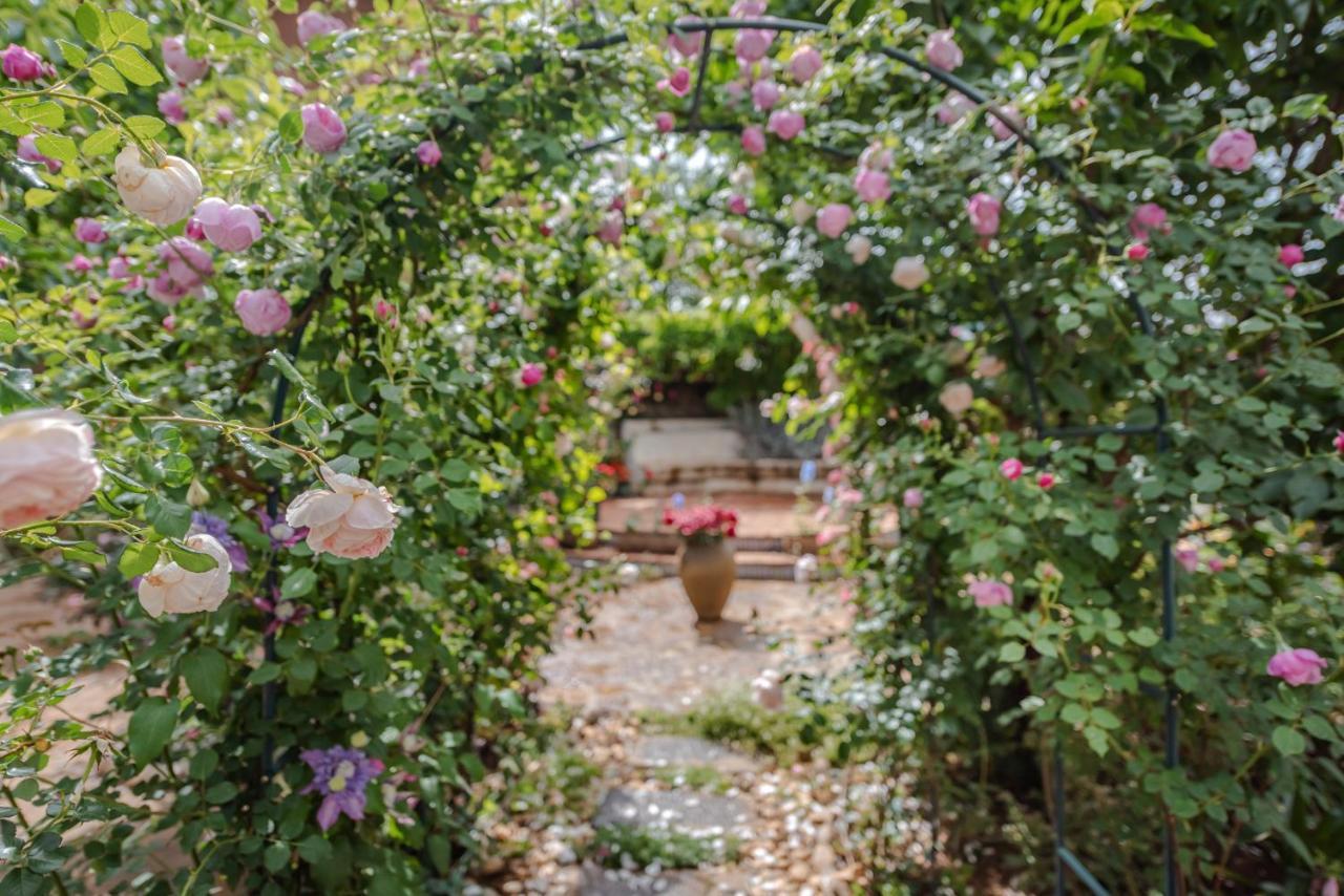 Baisha Flamingo Hotel Lijiang  Zewnętrze zdjęcie